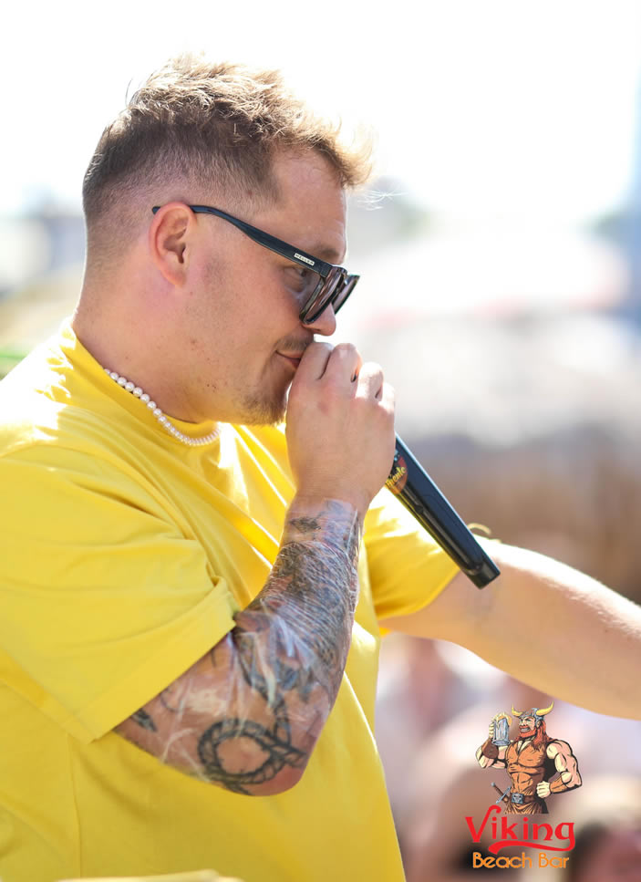 viking beach bar