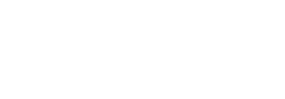 viking beach bar